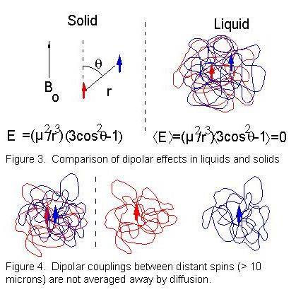 Figure 4: diffusion only averages away the coupling between spins separated by much less than this distance.